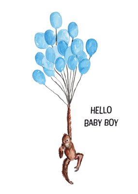 Greetz | Geboortekaart| aap | ballonnen