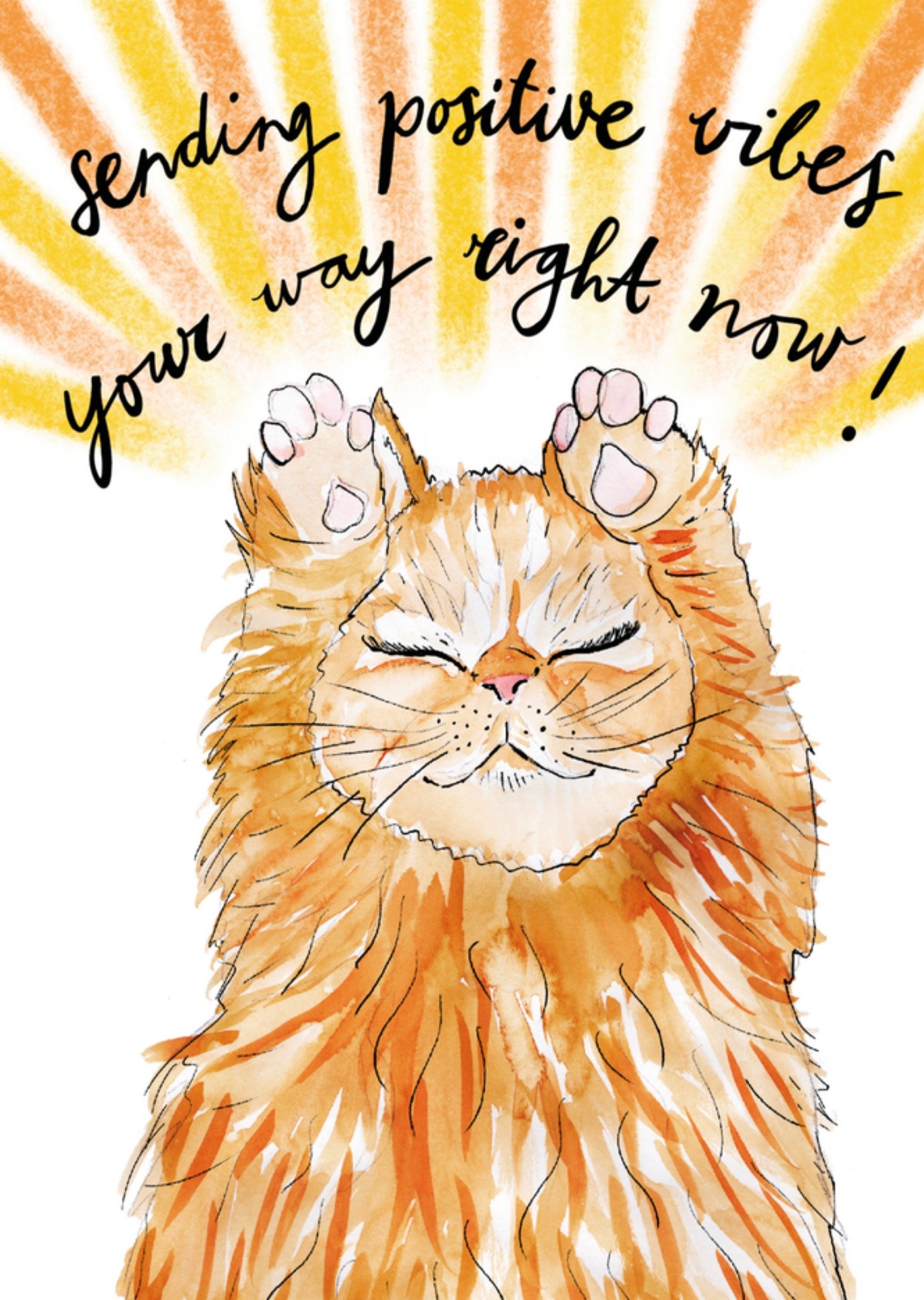 Marie Bodie Beterschapskaart Kat Kaart Marie Bodié