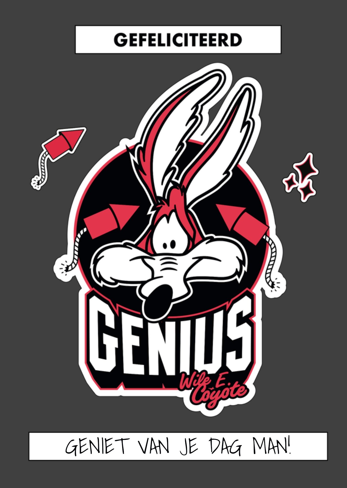 Warner Bros Verjaardagskaart Genius Kaart Looney Tunes