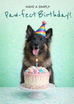 Party Animals Paw-fect Birthday Hond Met Taart Verjaardagskaart