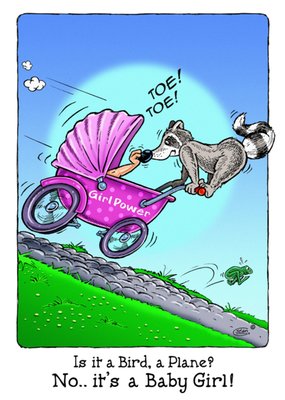 Bengels | Geboortekaart | wasbeer | illustratie