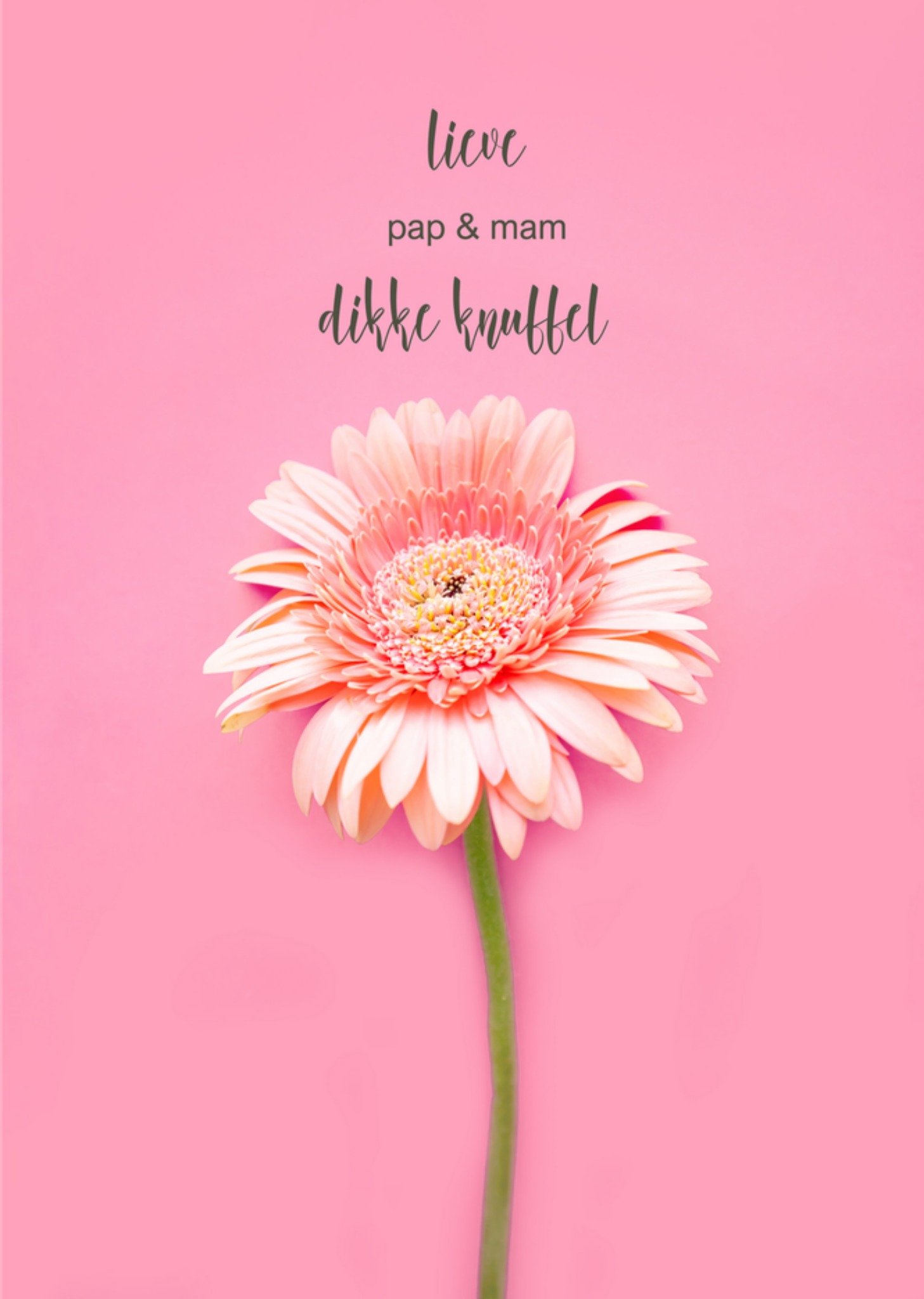 Denken aan kaart Pap en Mam Kaart Photoflash