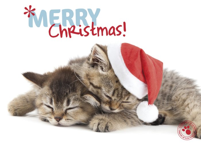 Studio Pets | Kerstkaart | katten