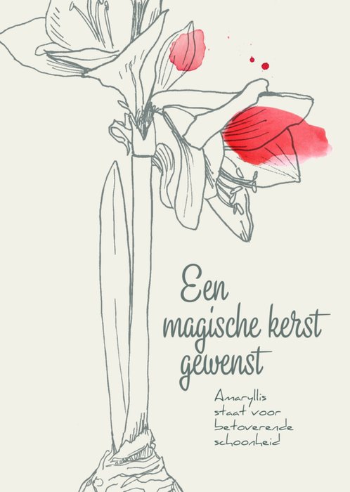 Veer&Moon | Kerstkaart | Magische kerst | Amaryllis