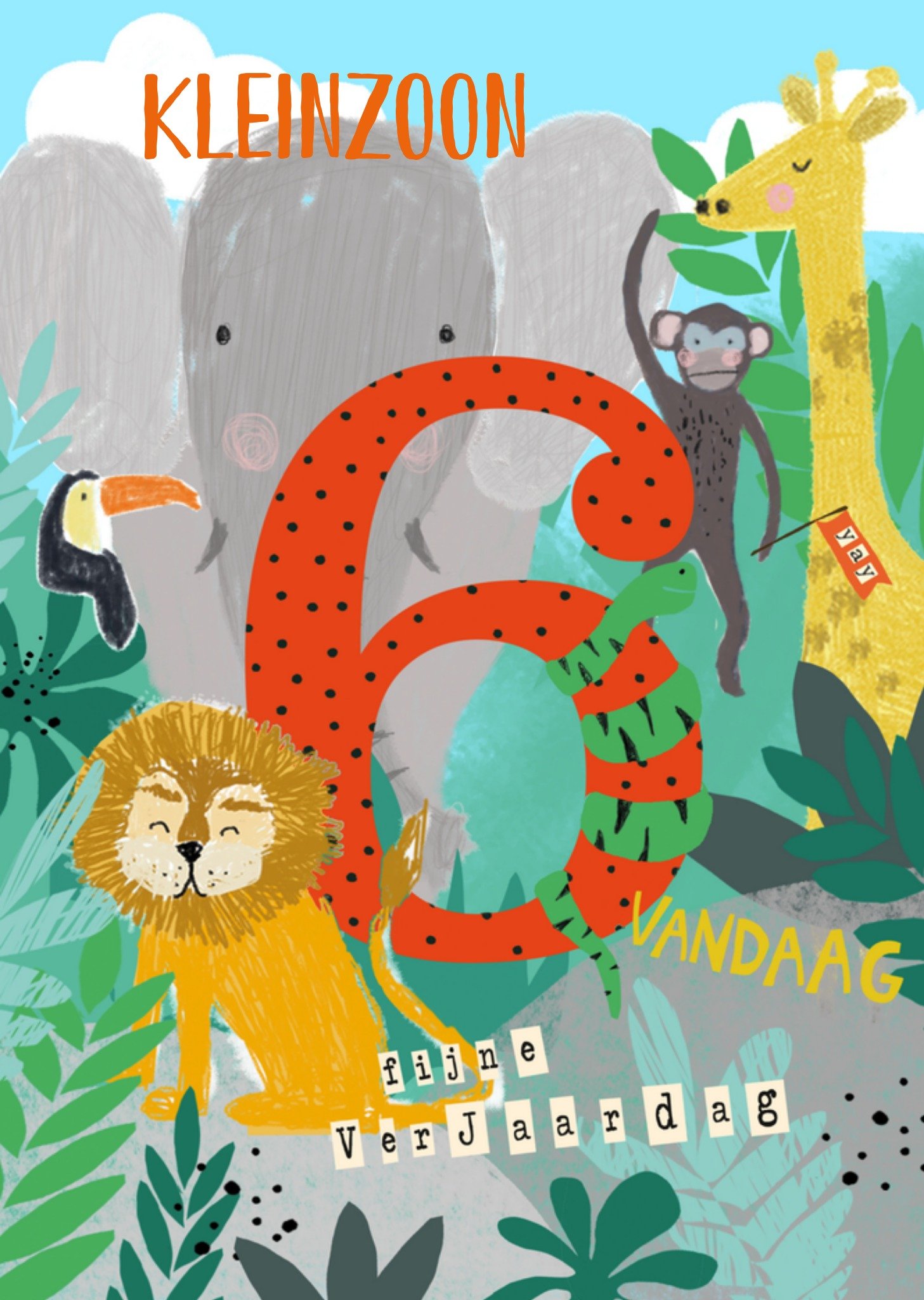 Verjaardagskaart kleinzoon Kaart Paperlink