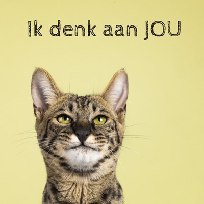 Catchy Images | Denken aan kaart | Kat