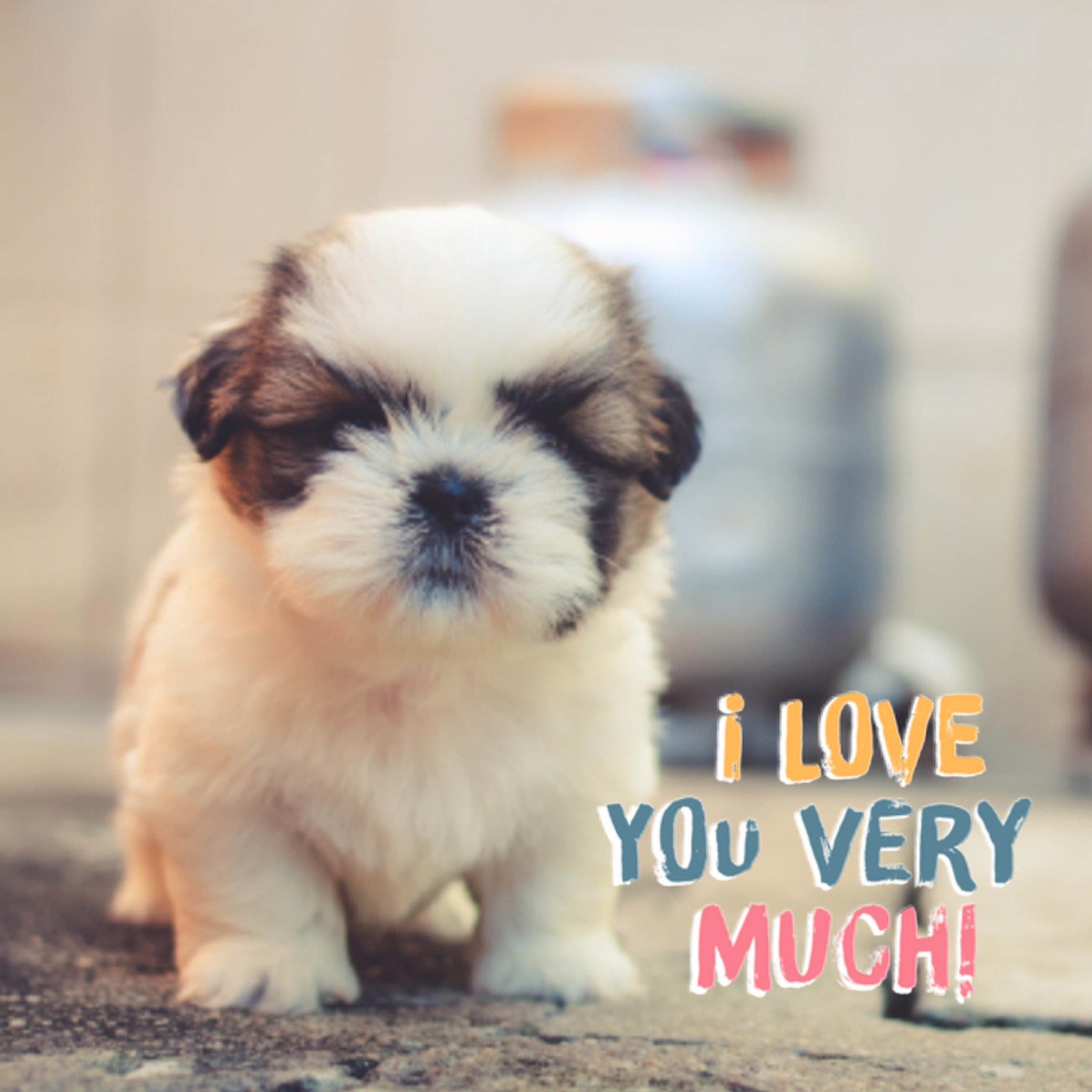 Greetz Dierendag kaart fotokaart Vierkant