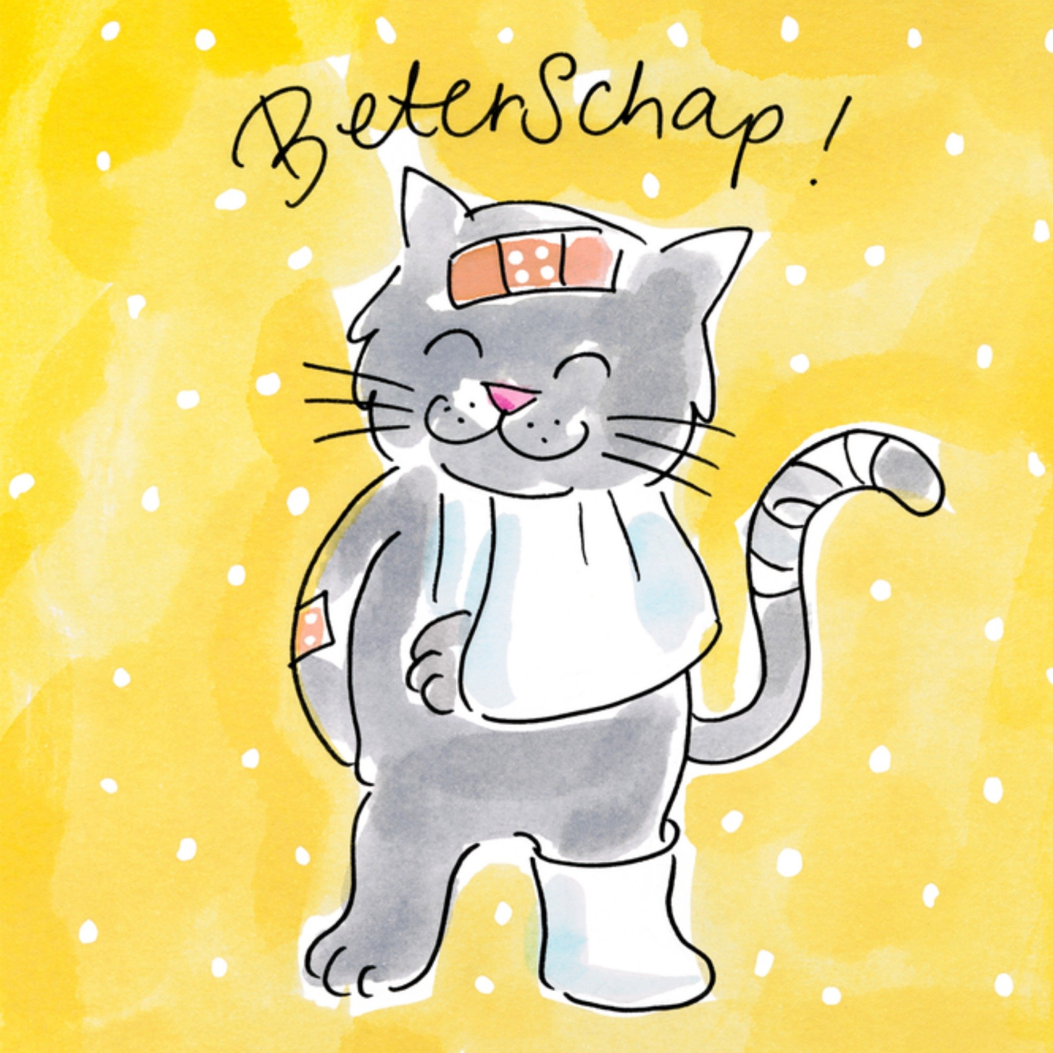 Beterschapskaart kat Vierkante Kaart Blond Amsterdam