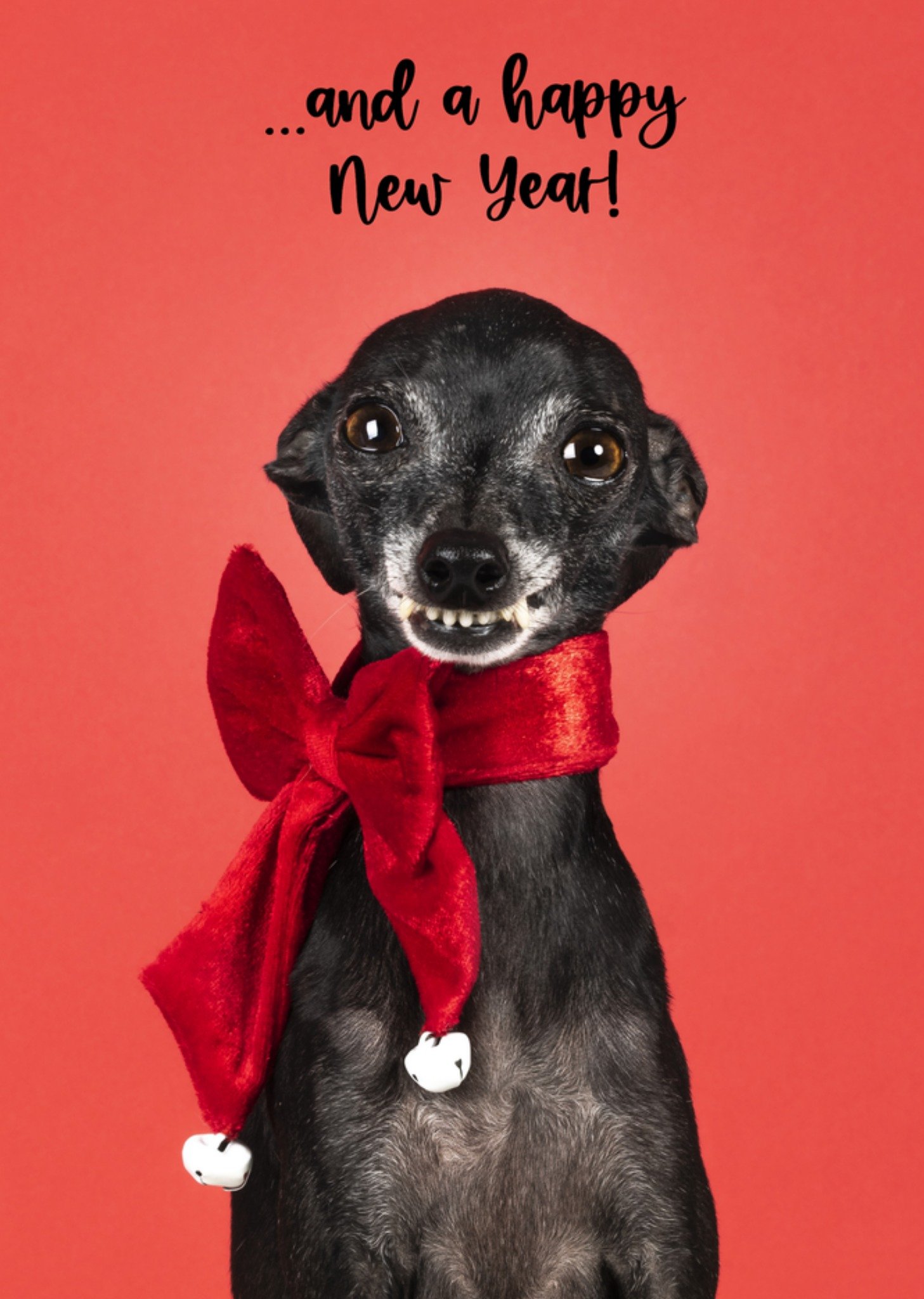 Kerstkaart dieren ...and a happy new year! Catchy Images