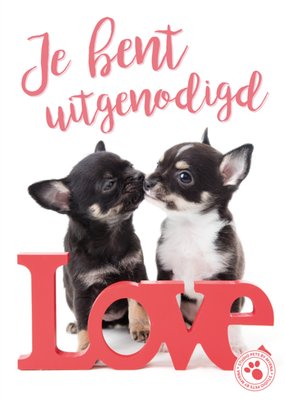 Studio Pets | Uitnodiging Huwelijks Jubileum | Hondjes