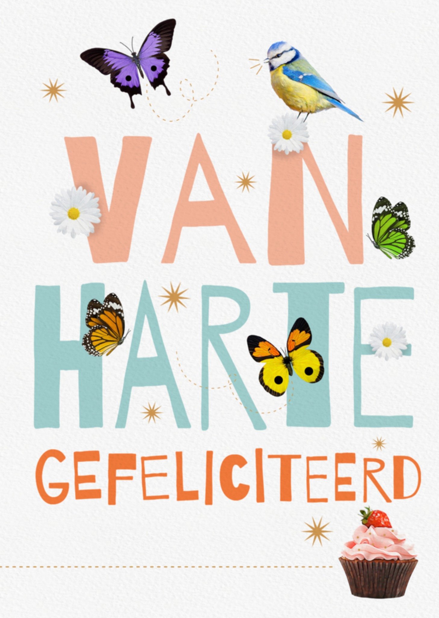 Verjaardagskaart vlinder vogel Kaart Emma Proctor