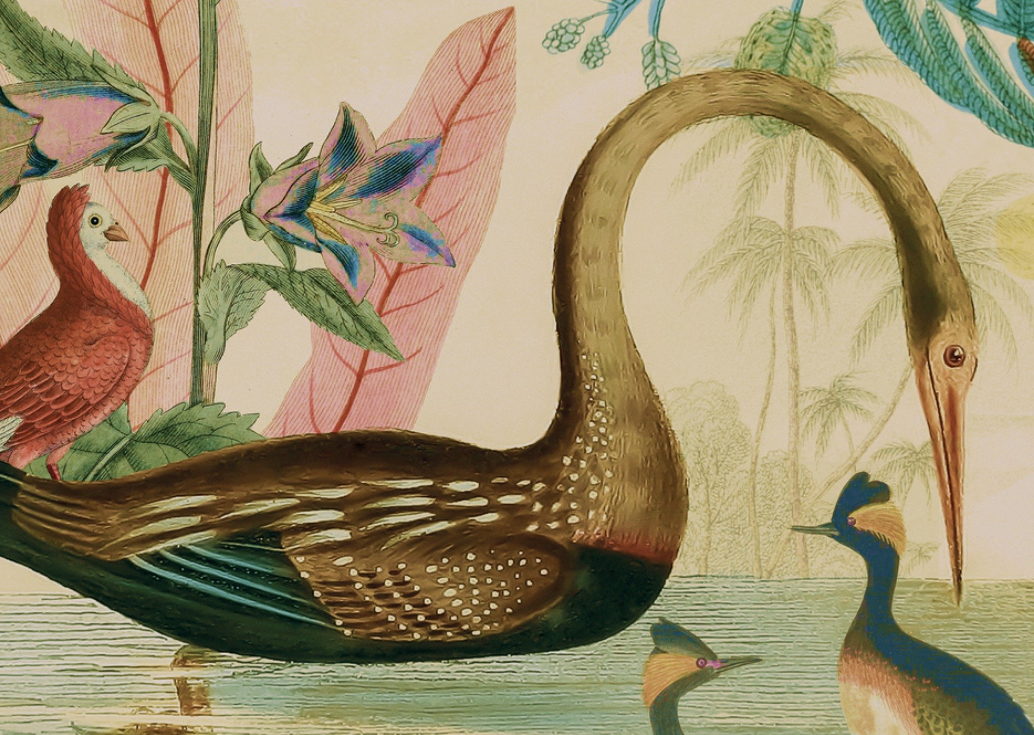 Vriendschapskaart Planten Kaart NIN-NIT