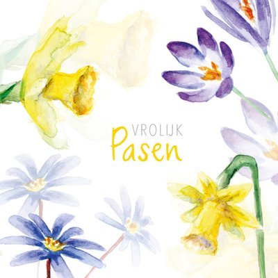 Michelle Dujardin | Paaskaart | Narcissen