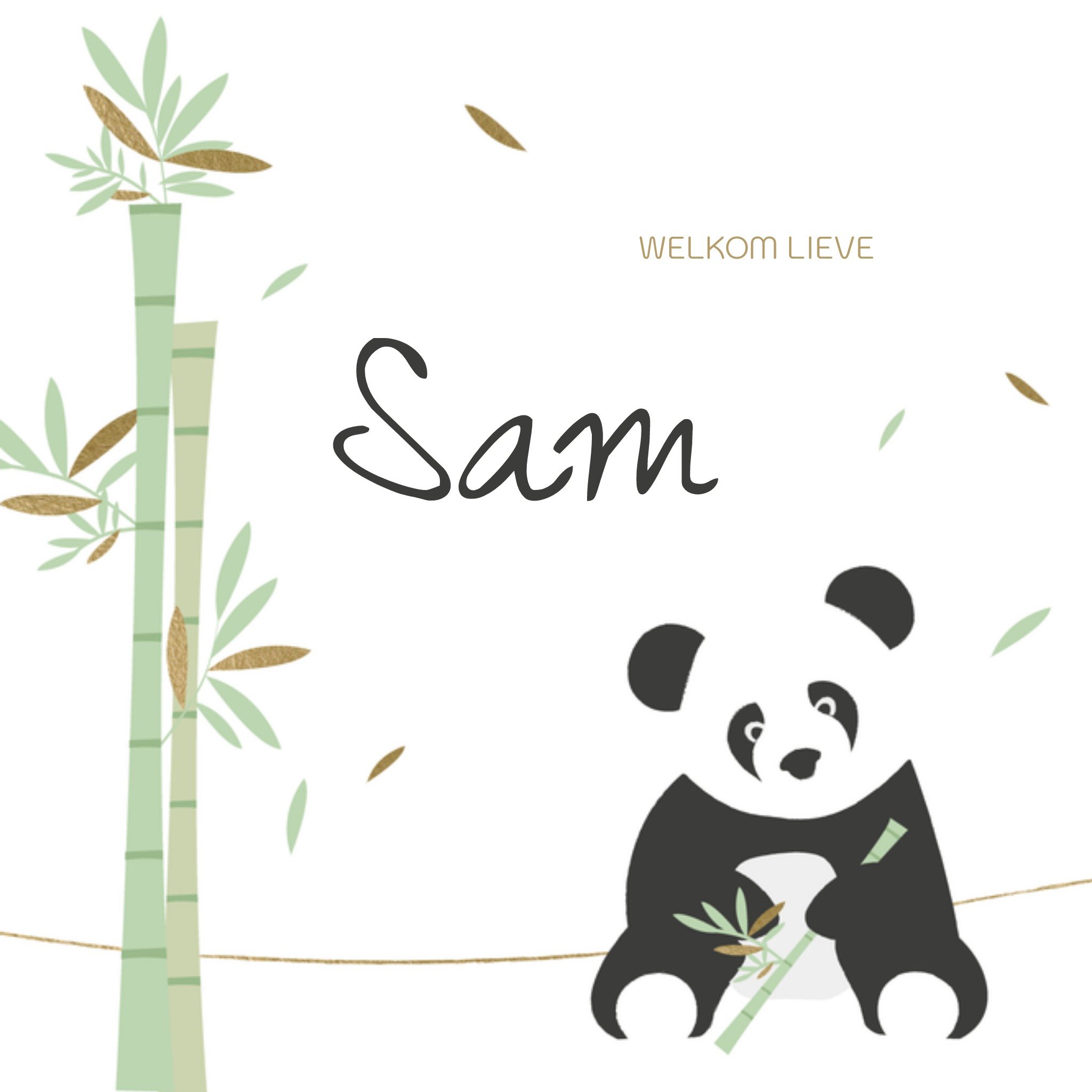 Greetz Geboortekaart panda met naam Vierkant