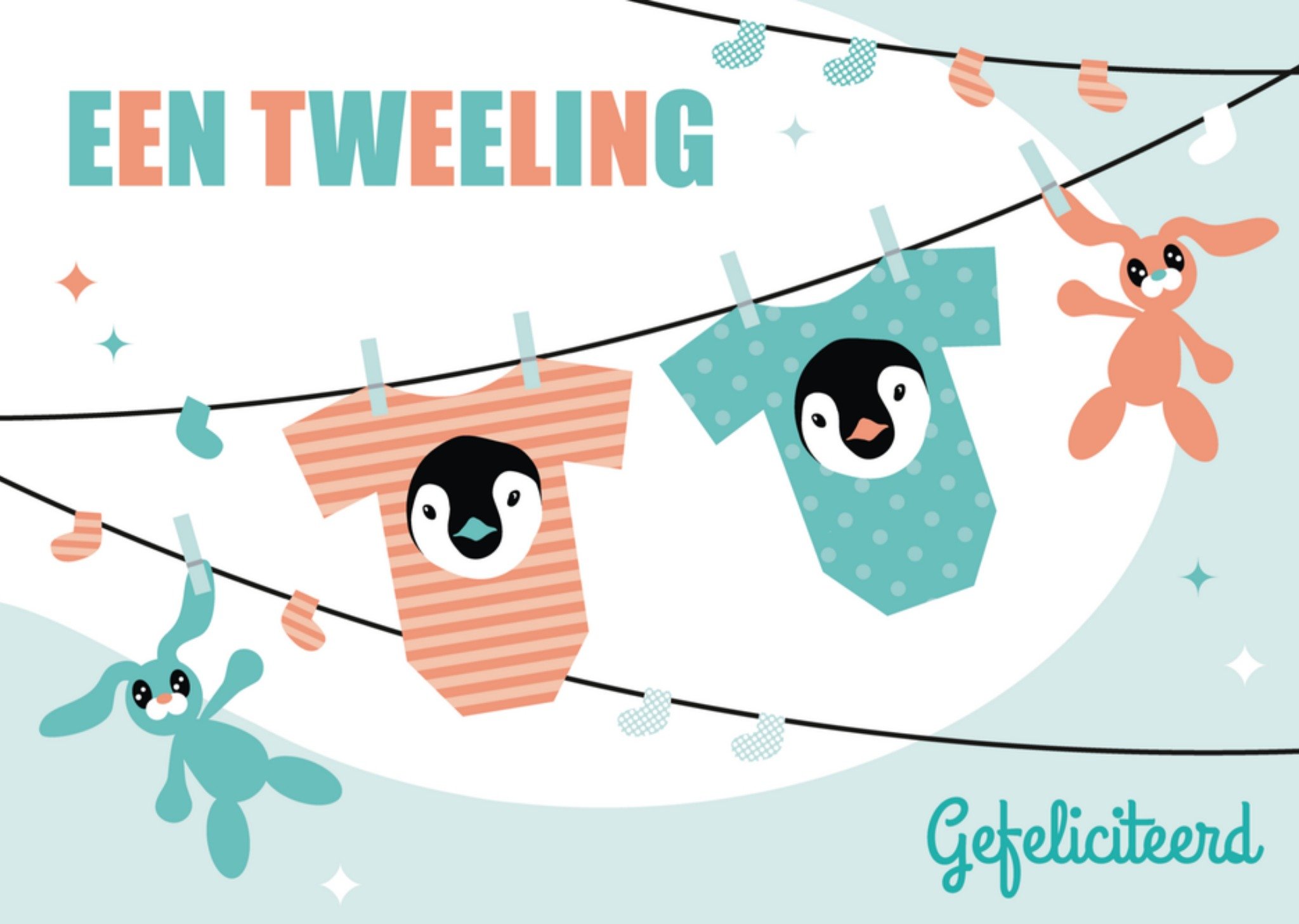 Geboortekaart tweeling Waslijn Paperclip