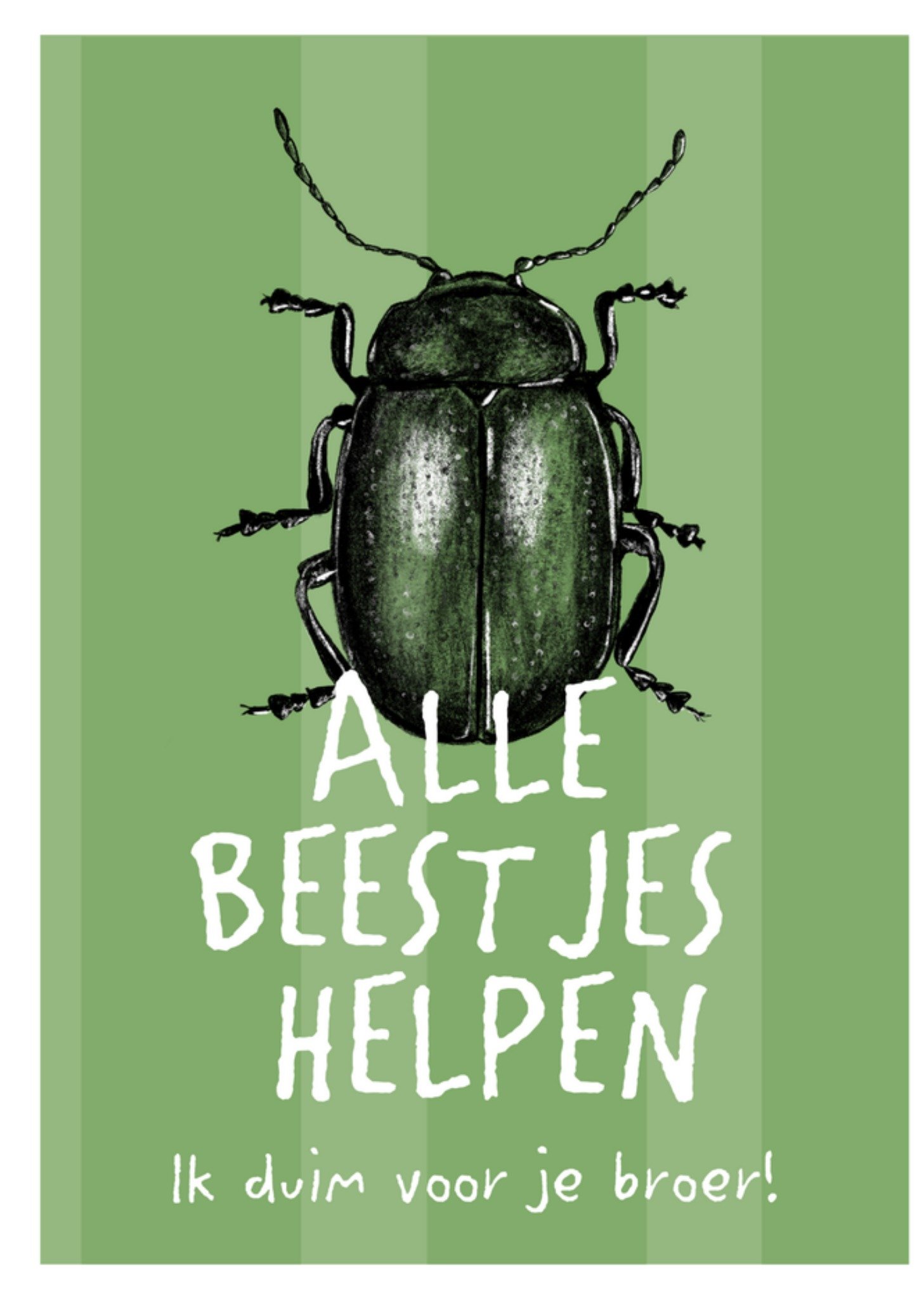 Succeskaart broer insect Kaart Greetz