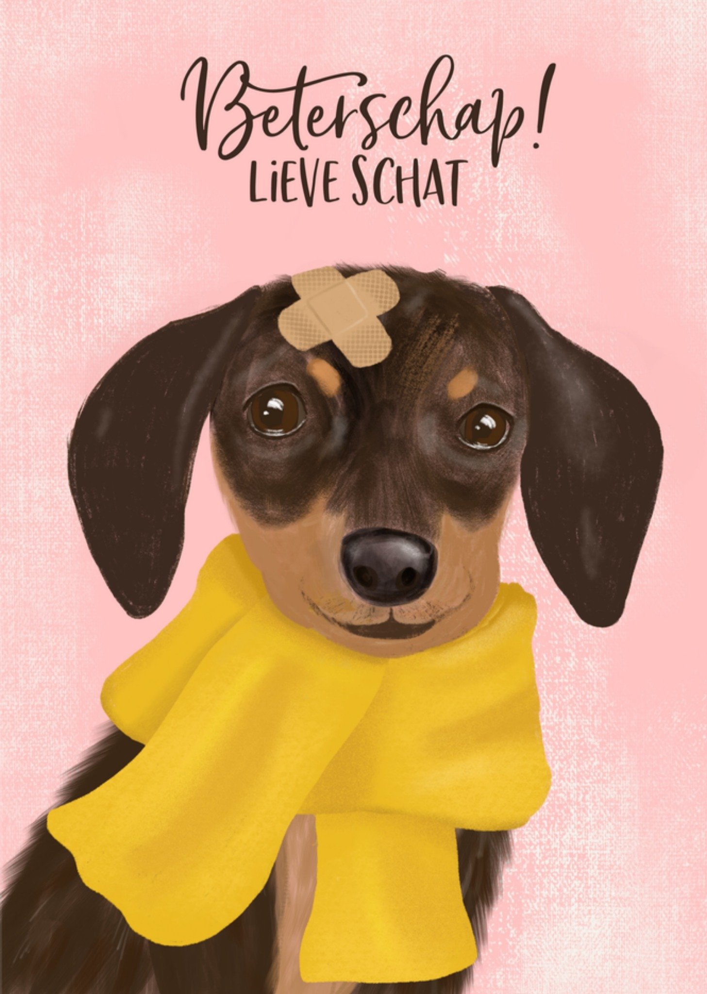 Beterschapskaart Lieve schat Kaart Tsjip