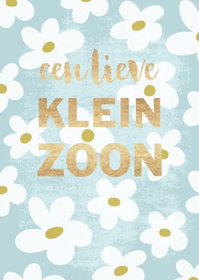 Tsjip | Geboortekaart | Kleinzoon