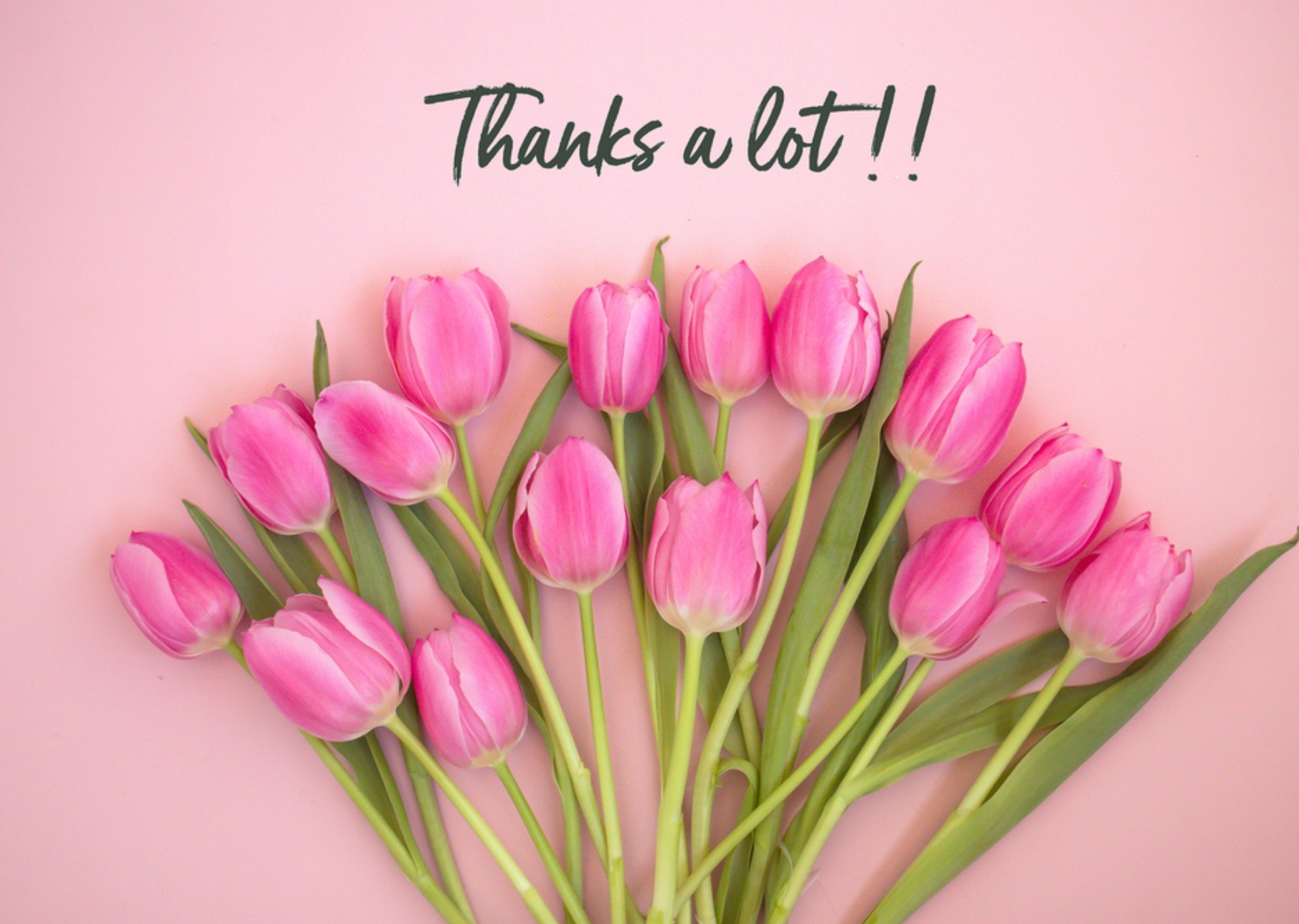 Bedankkaart tulpen Kaart Photoflash