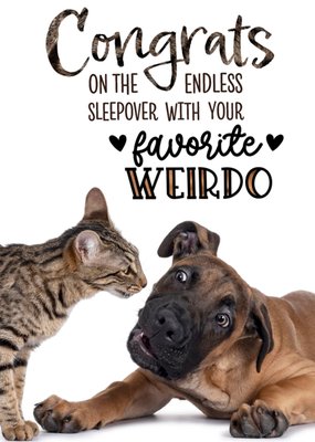Catchy Images Logeerpartij Met Je Favoriete Gekkie Hond En Kat Huwelijkskaart