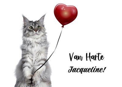 Catchy Images | Verjaardagskaart | Kat