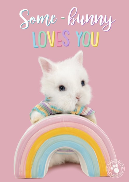 Studio Pets | Beterschapskaart | Bunny