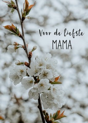 Greetz | Zomaarkaart | liefste mama | fotografie