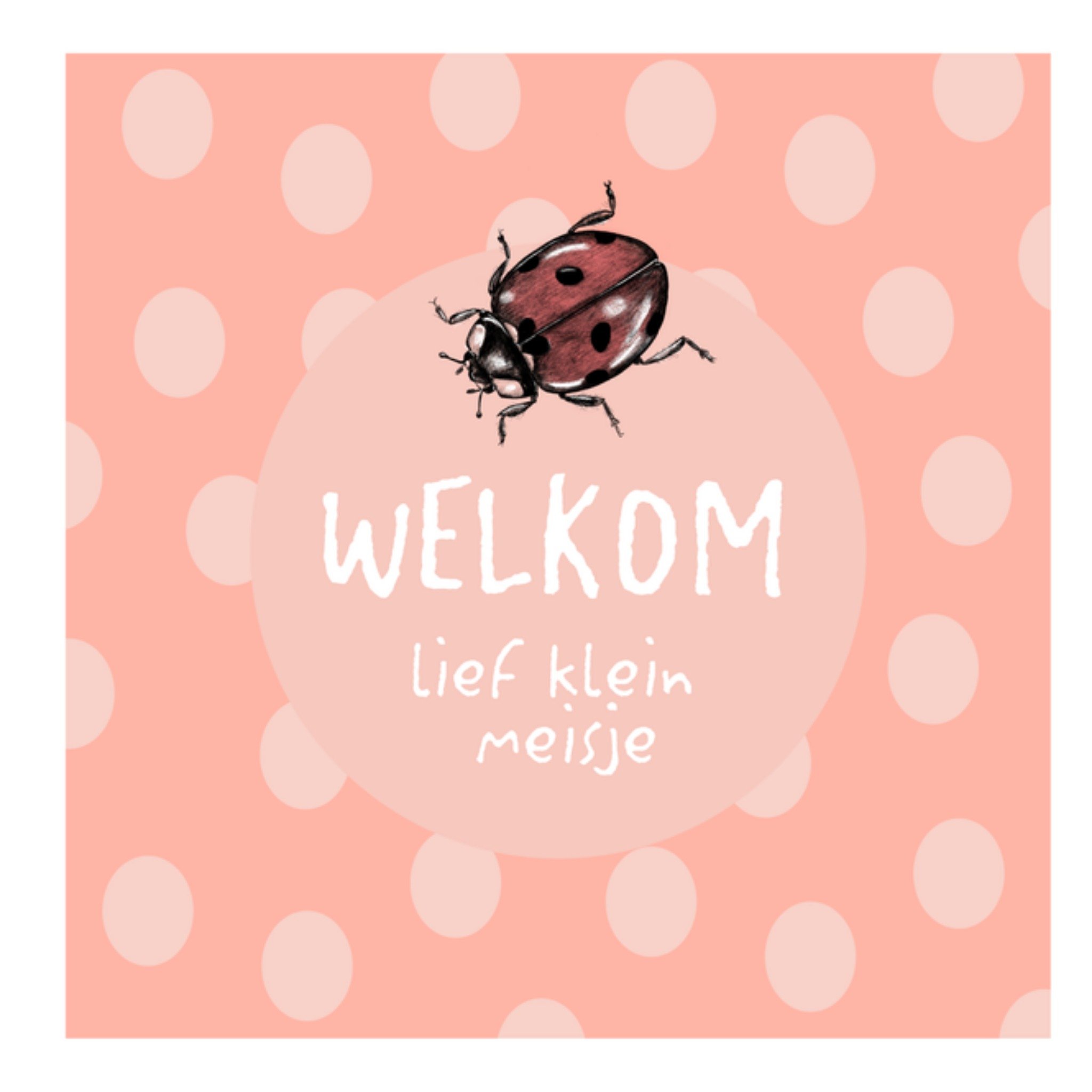 Greetz Geboortekaart meisje Vierkant