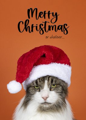 Catchy Images | Kerstkaart | Grumpy