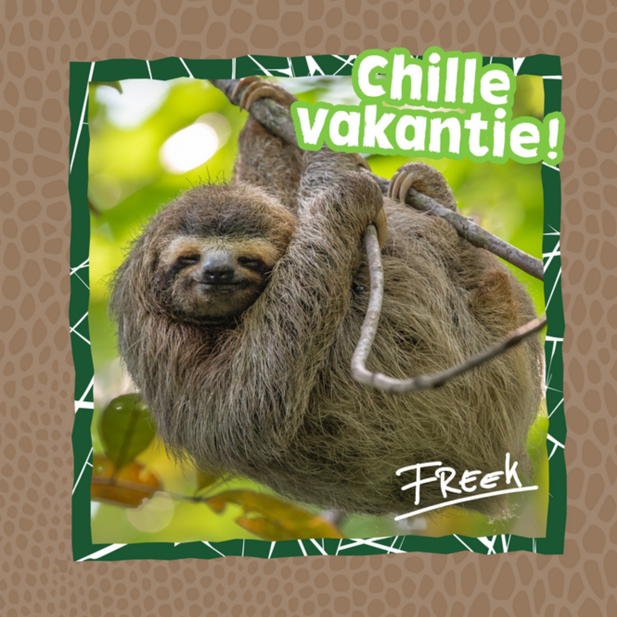 Freek Vonk - Vakantie kaart - Luiaard