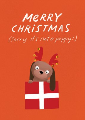 The Postcardy Club | Kerstkaart | puppy