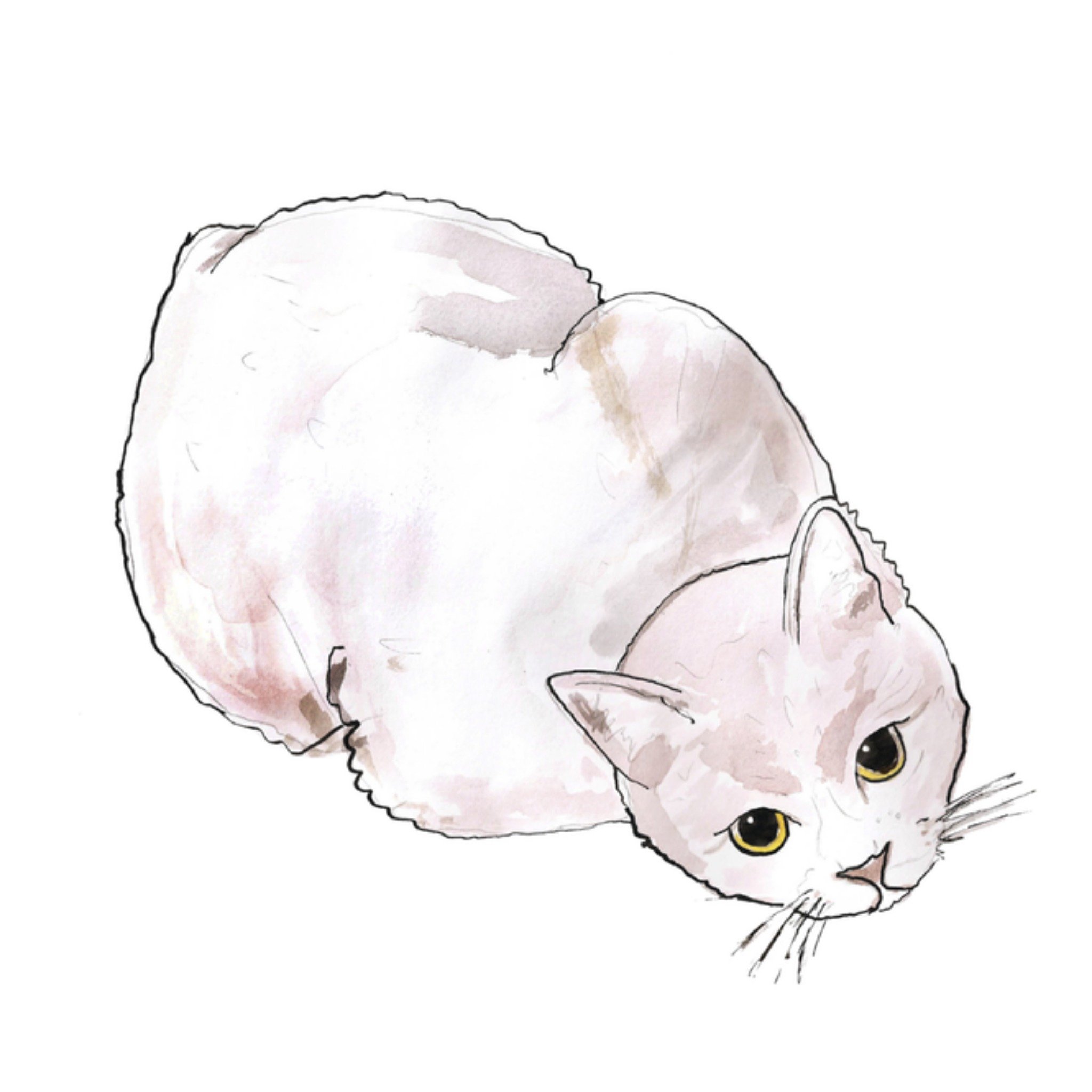 Denken aan kaart kat Vierkante Kaart Marie Bodié