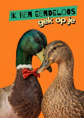 Ik Ben Eindeloos Gek Op Je Kaart
