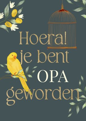Greetz | Geboortekaart | Opa | Met aanpasbare tekst