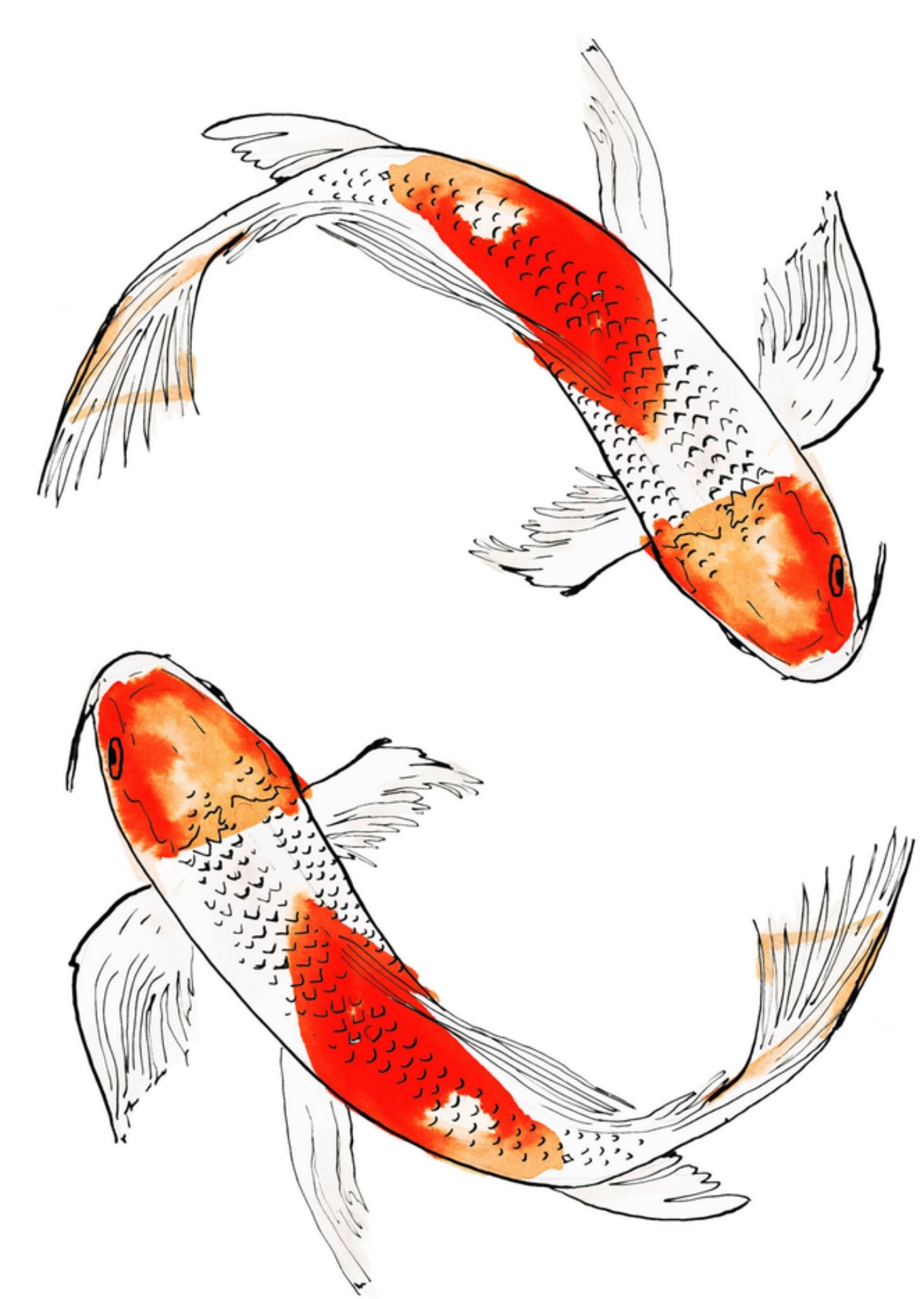 Marie Bodie Verjaardagskaart vissen Kaart Marie Bodié