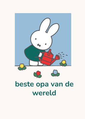 Miffy | Vaderdagkaart | Beste opa van de wereld