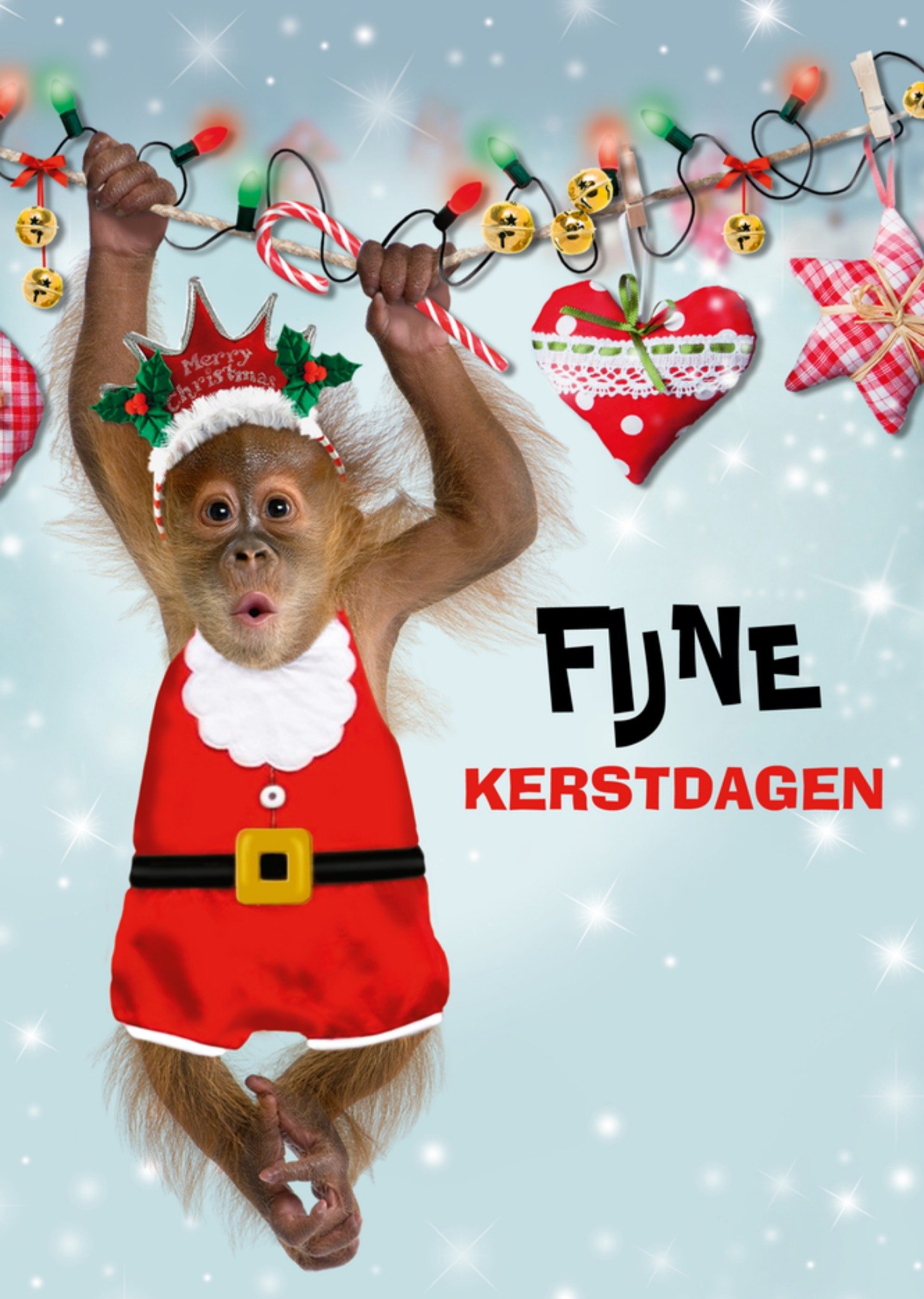 Kerstkaart illustratie aapje TMS