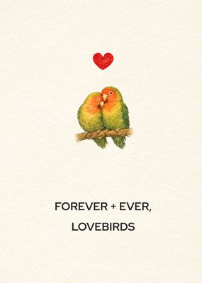 Bright Spot Voor Altijd Samen Aquarel Dwergpapegaaien Liefde Kaart