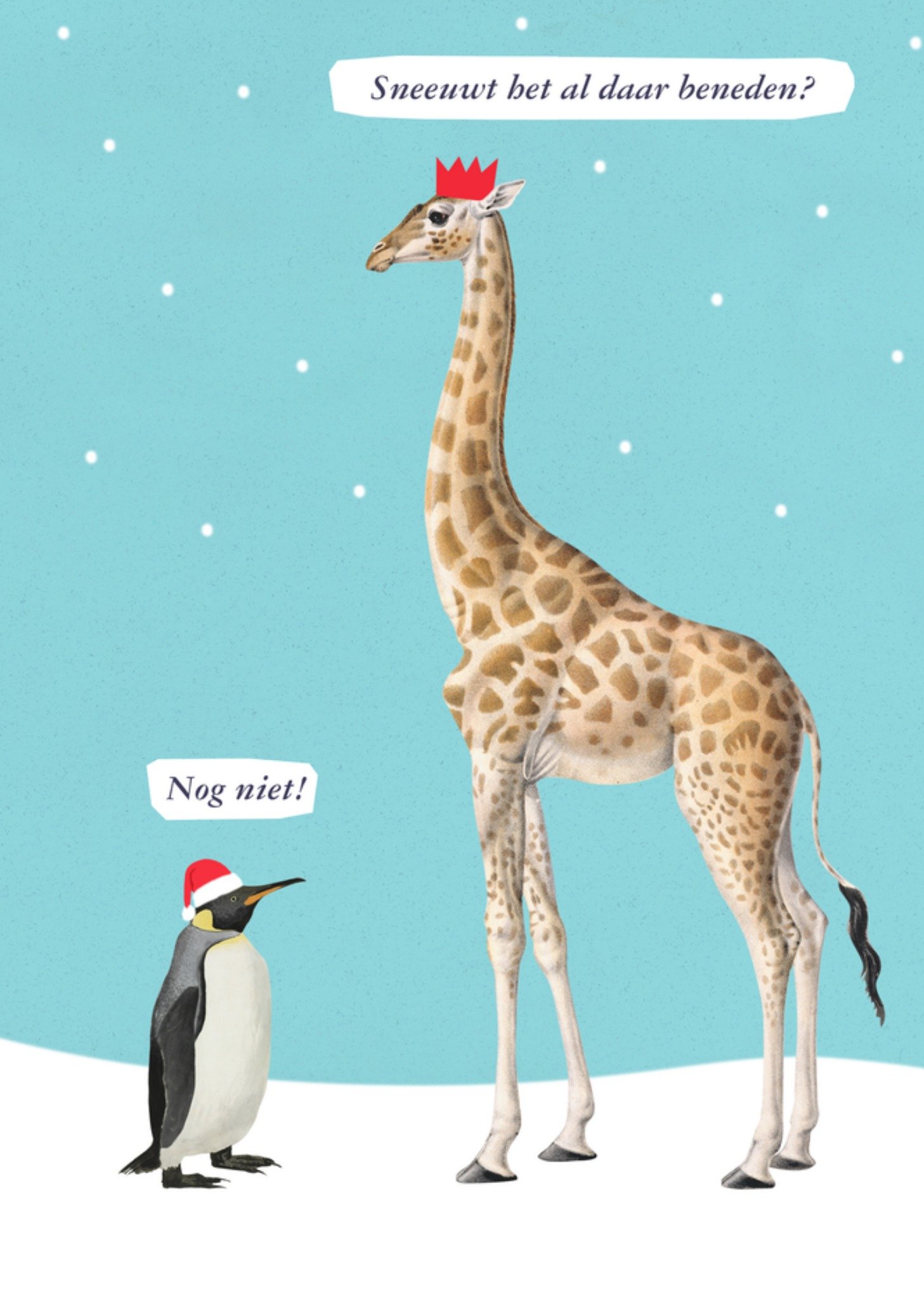 Kerstkaart Sneeuw The Natural History Museum