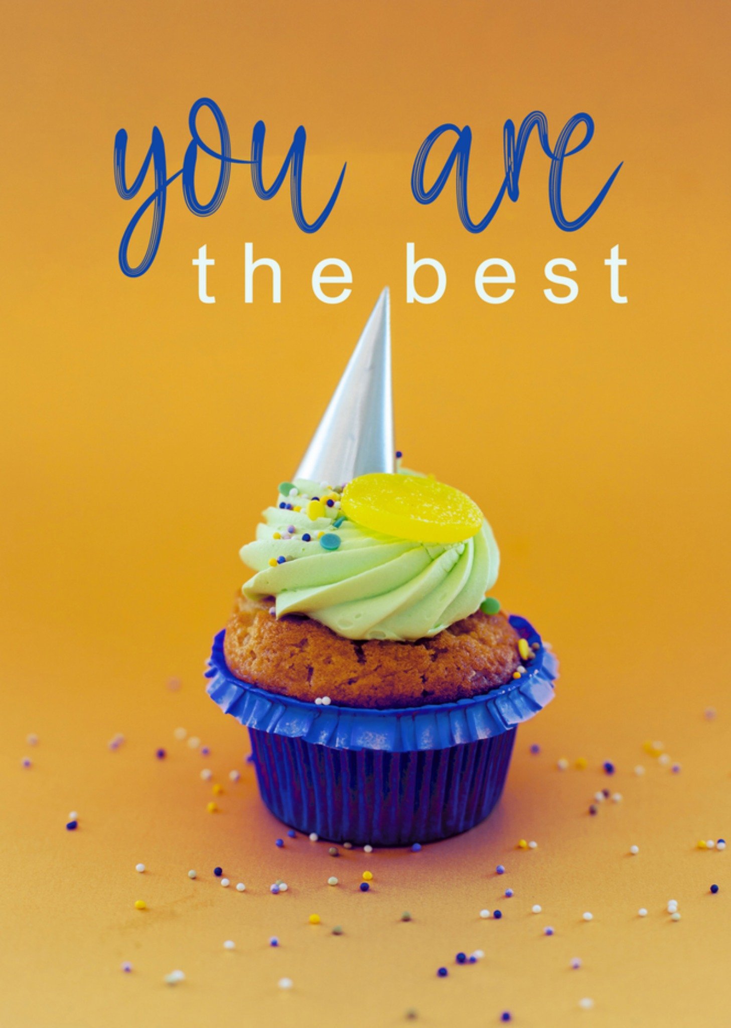 Dag van de Leidster cupcake Kaart Photoflash