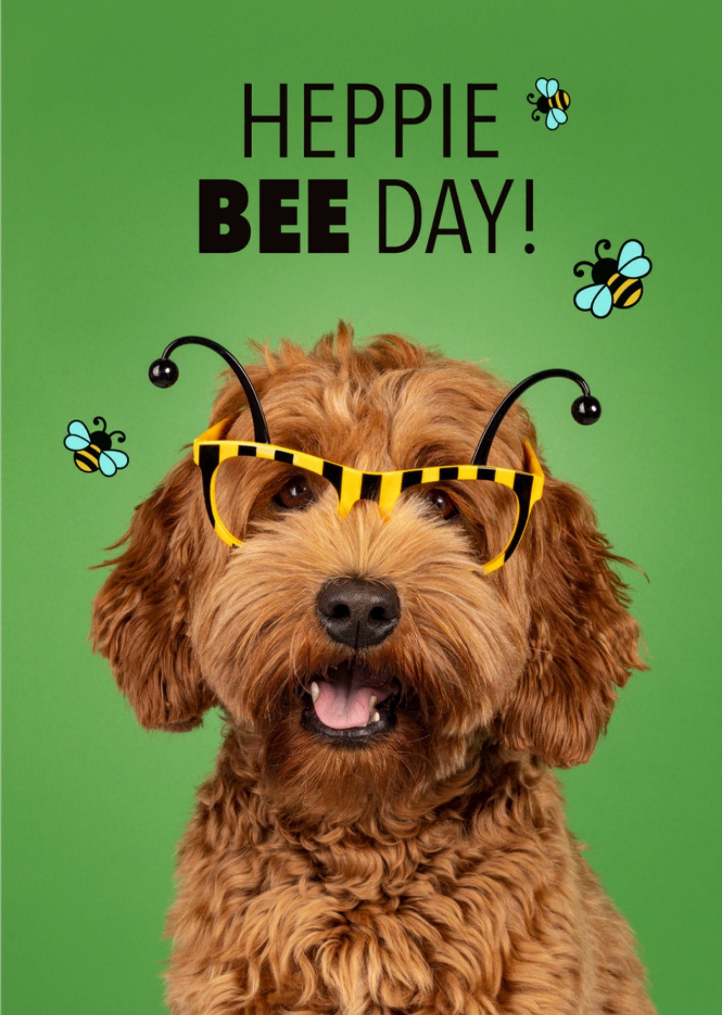 Verjaardagskaart Heppie Bee Day! Kaart Catchy Images