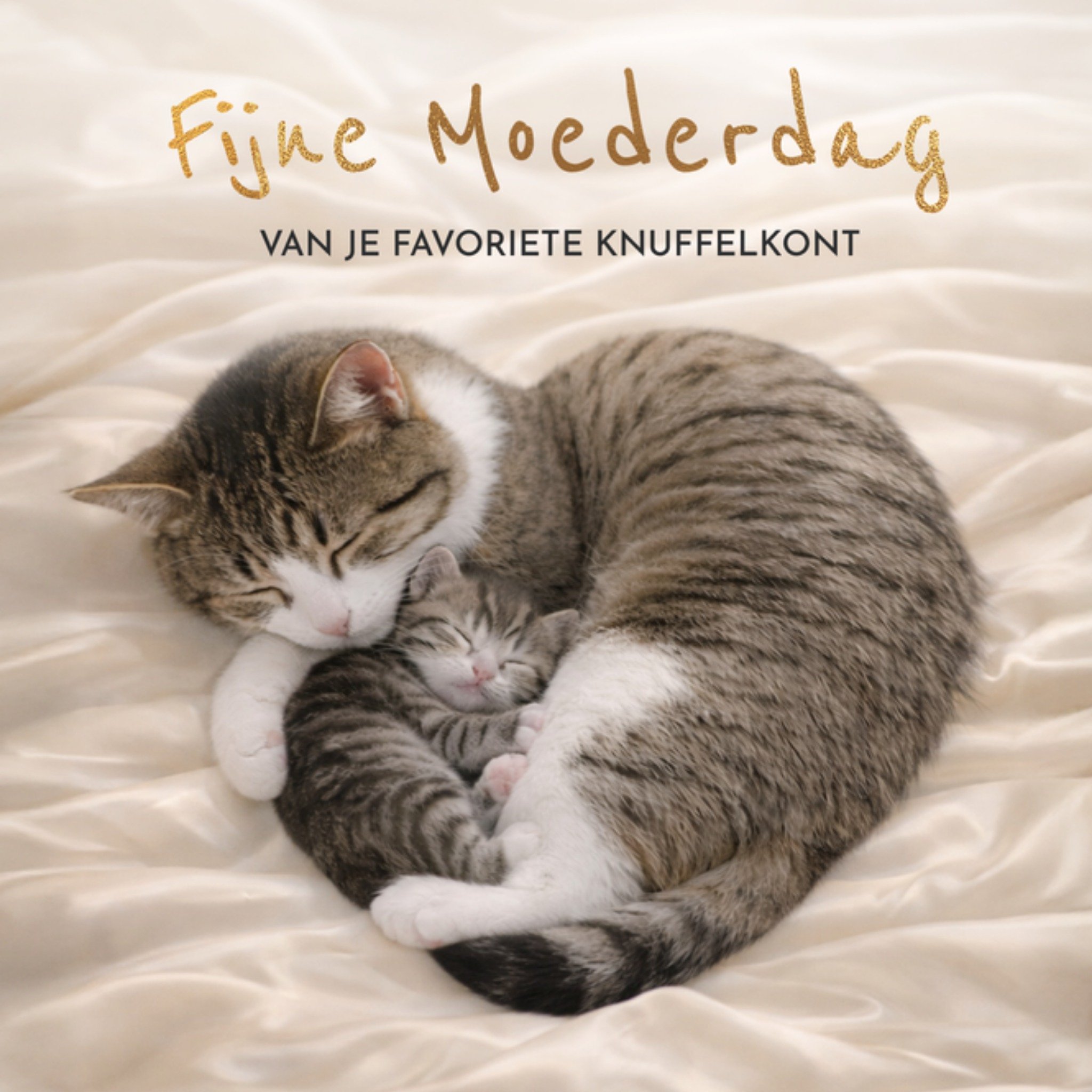 Moederdagkaart Schattige Knuffelende Moederkat En Kitten Greetz