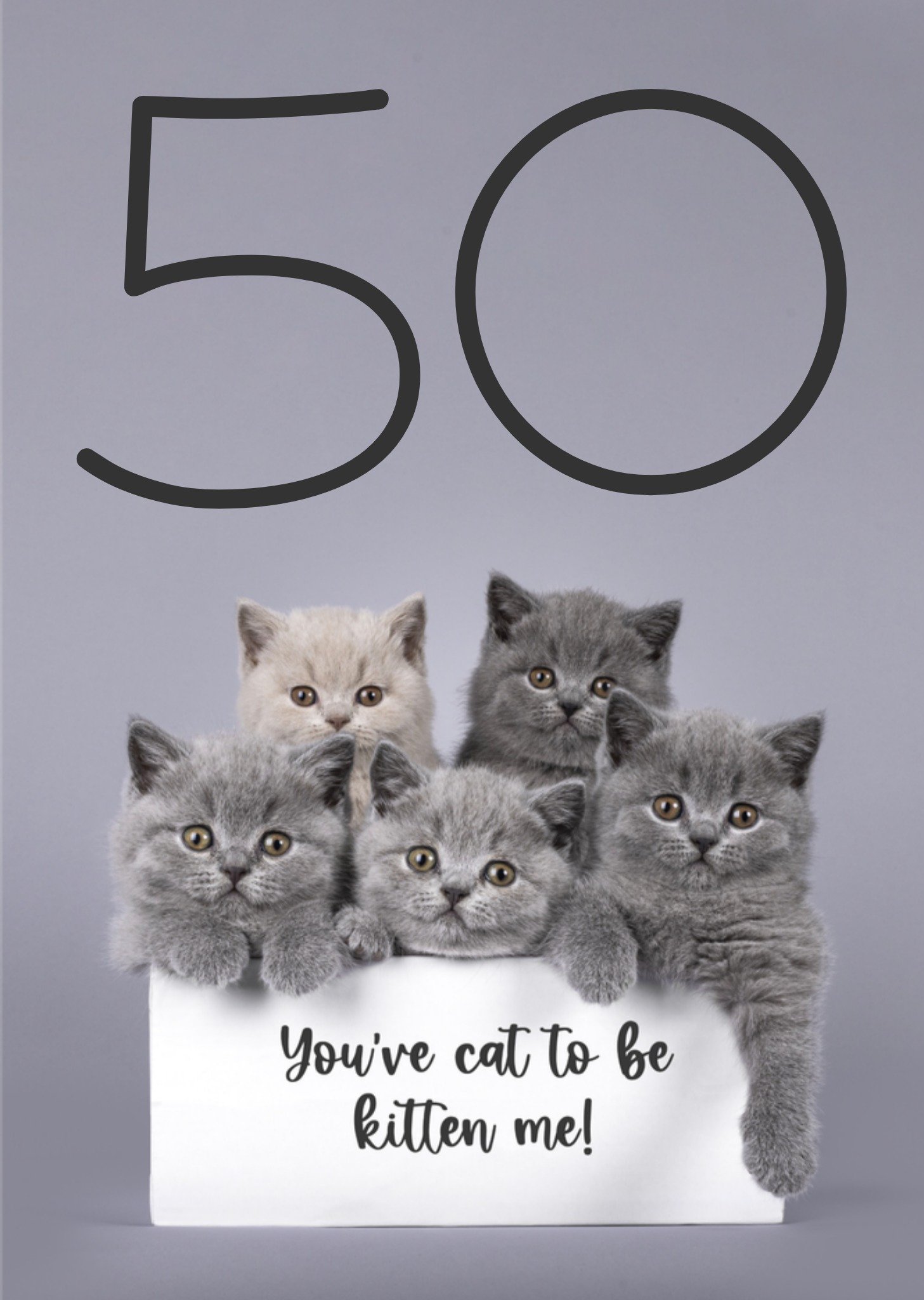 Verjaardagskaart Katten Kaart Catchy Images