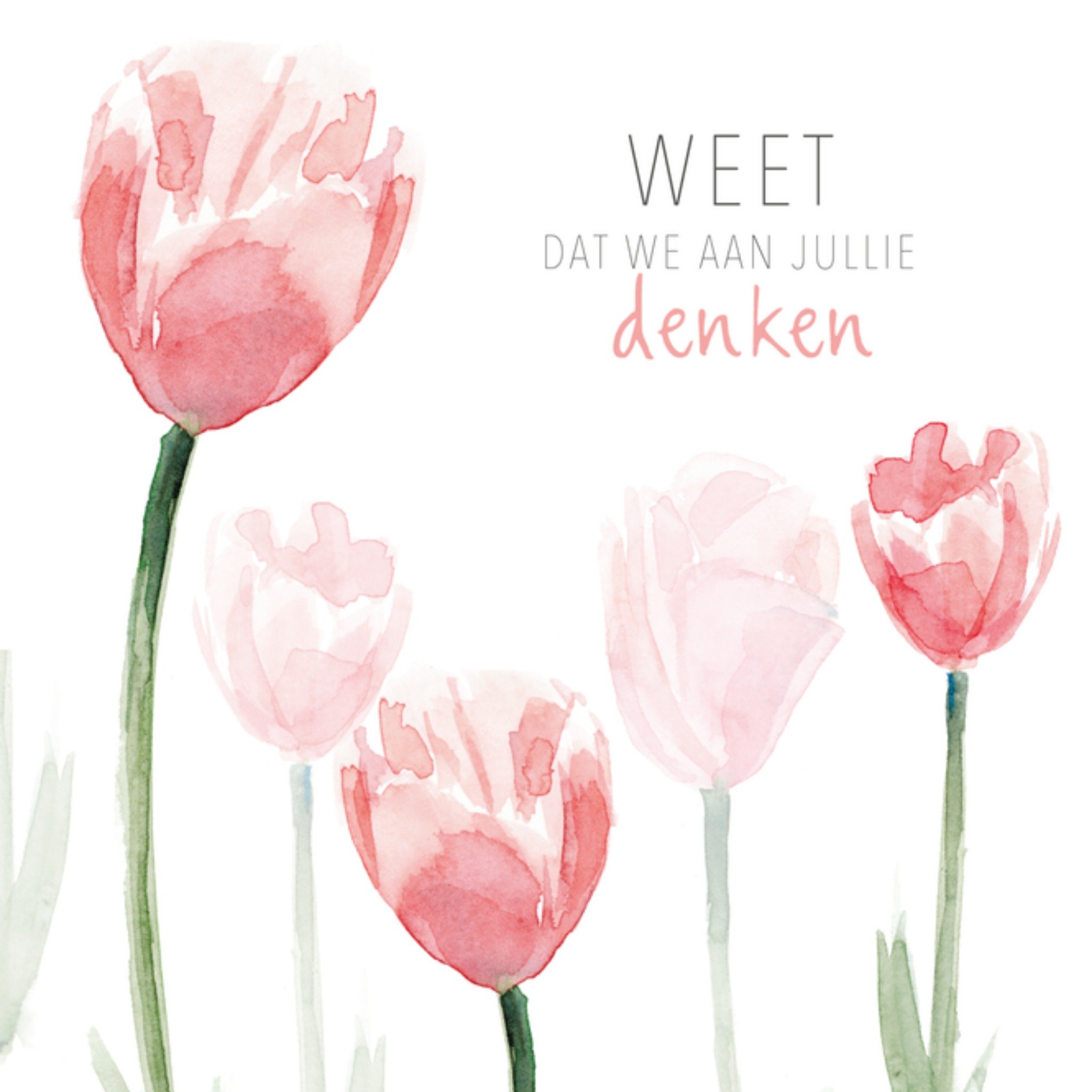 Michelle Dujardin Sterkte kaart Tulpen Vierkant