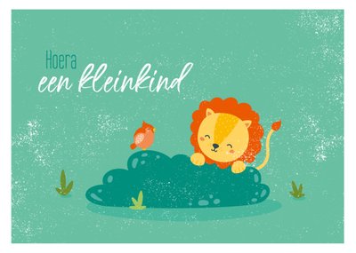 Paperclip | Geboortekaart | Kleinkind