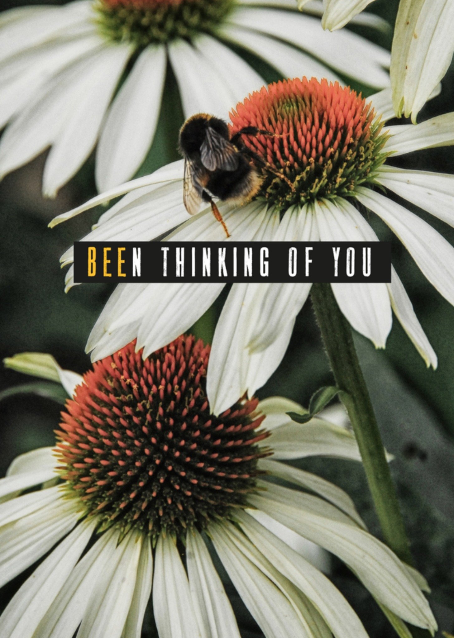 Denken aan kaart Been thinking of you Greetz