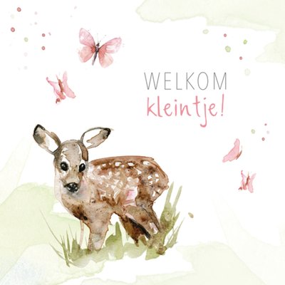 Michelle Dujardin | Geboortekaart | illustratie