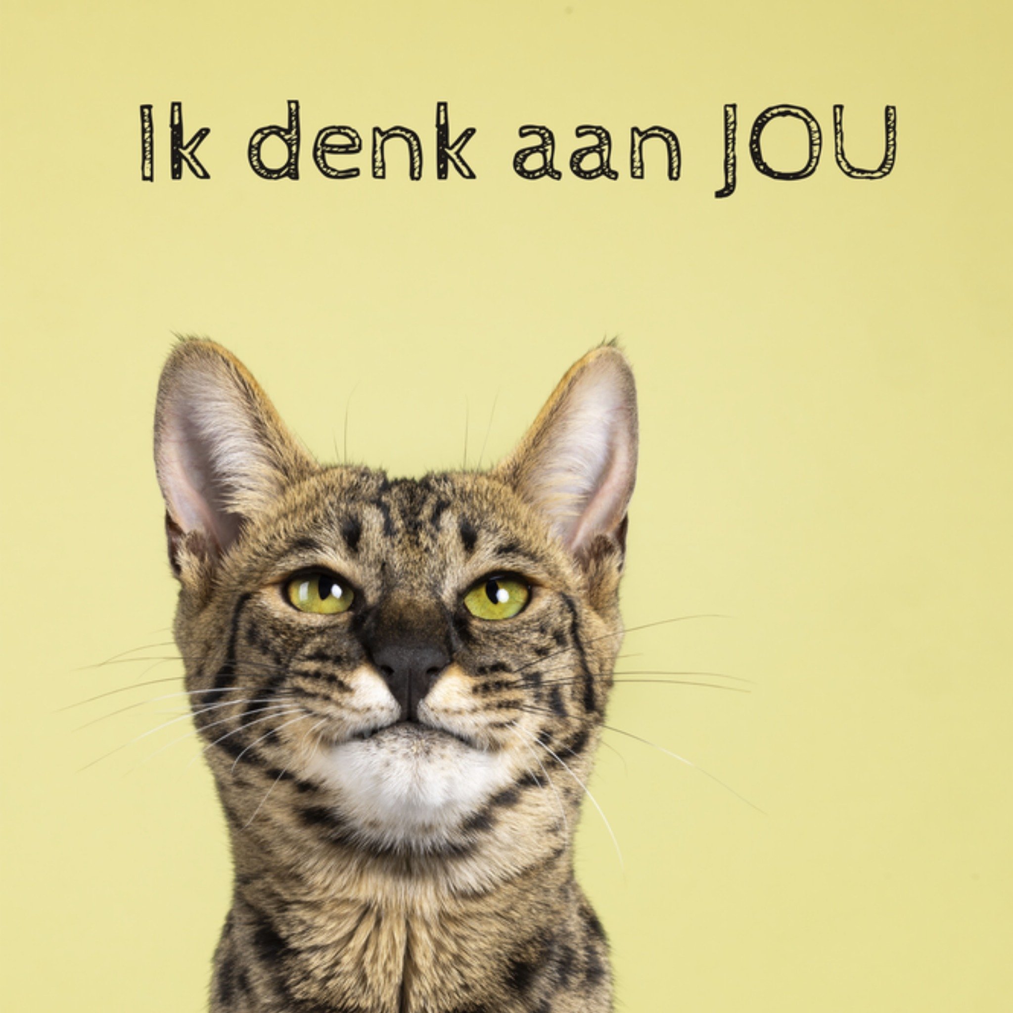 Denken aan kaart Kat Vierkante Kaart Catchy Images
