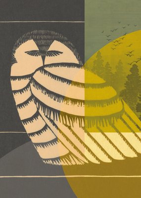 NIN-NIT | Denken aan kaart | Uil
