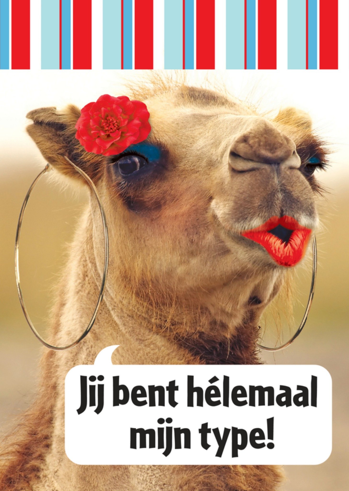 Jij bent helemaal mijn type! Kaart Paperclip